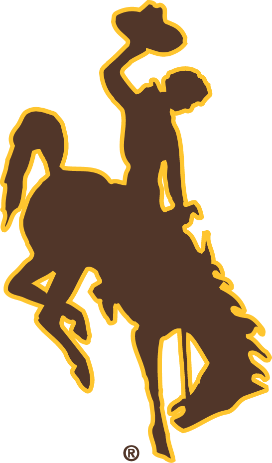Wyoming Cowboys 2006-Pres Primary Logo iron on transfers for clothing